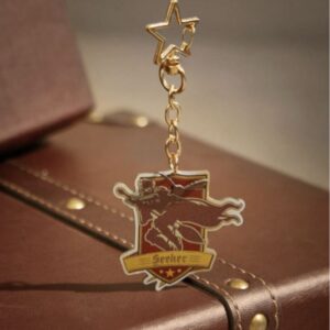 Llavero Grafico Quidditch Gryffindor