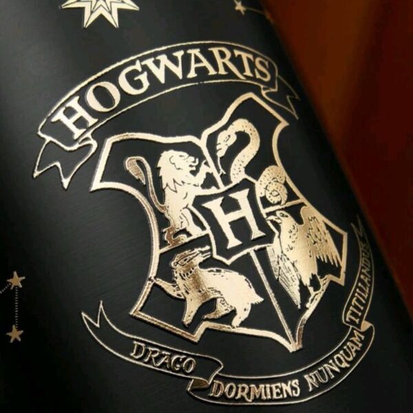 Vaso Tipo Mug Hogwart 600 Ml Hogwarts - Imagen 2