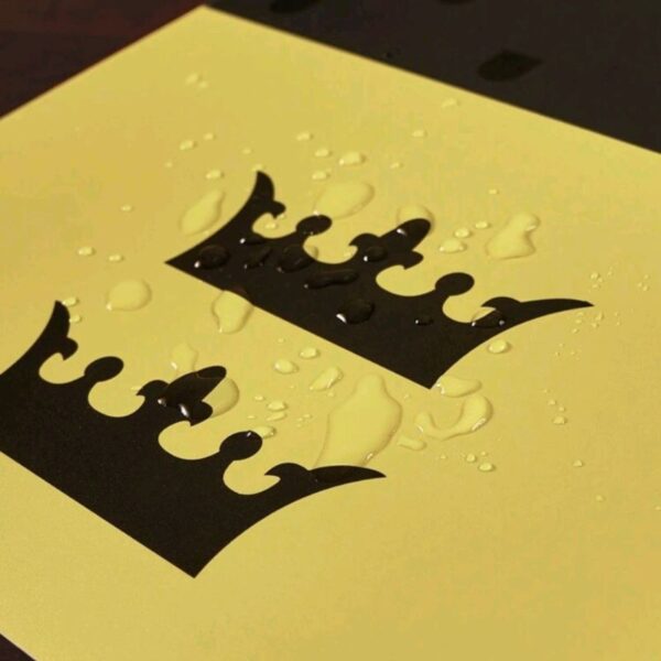 Individual Casa Hufflepuff - Imagen 2
