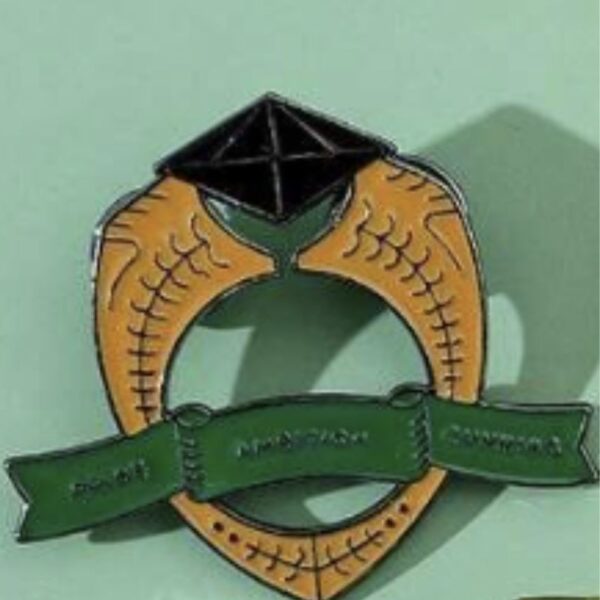Broche Pin Slytherin Pride Ambition Cunning